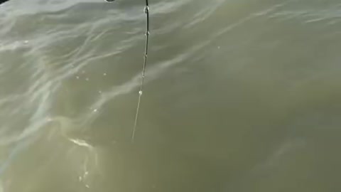 Amazing fishing.Short #5