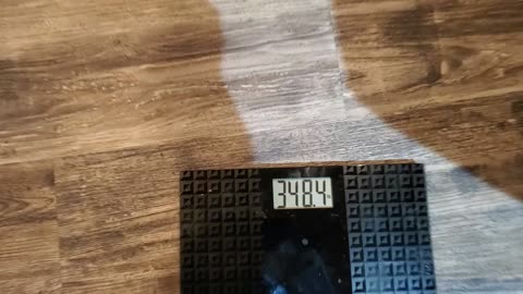 Weigh-In Oct 9, 2024