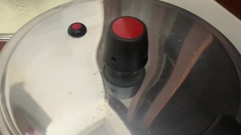 New Pressure Cooker Explodes on First Use