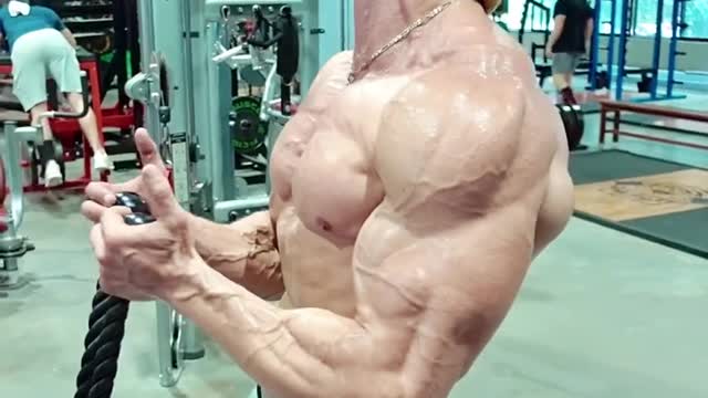 Fitness