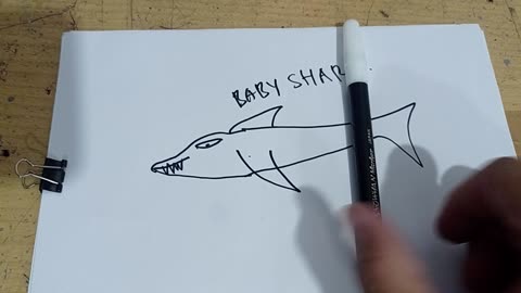 Drawing baby shark