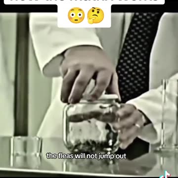 How The Matrix Works