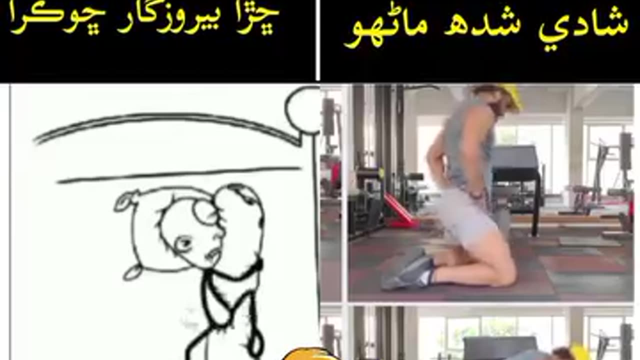 Funny videos