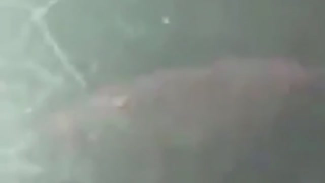 WHAT are they PUTTING in the CoVid19 Test Swabs?!!!