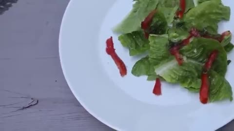 GMO TOMATO SWIMS AND MOVES AS IF ALIVE IN THIS MANS SALAD