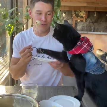 I’m grateful for my cat. What are you thankful for