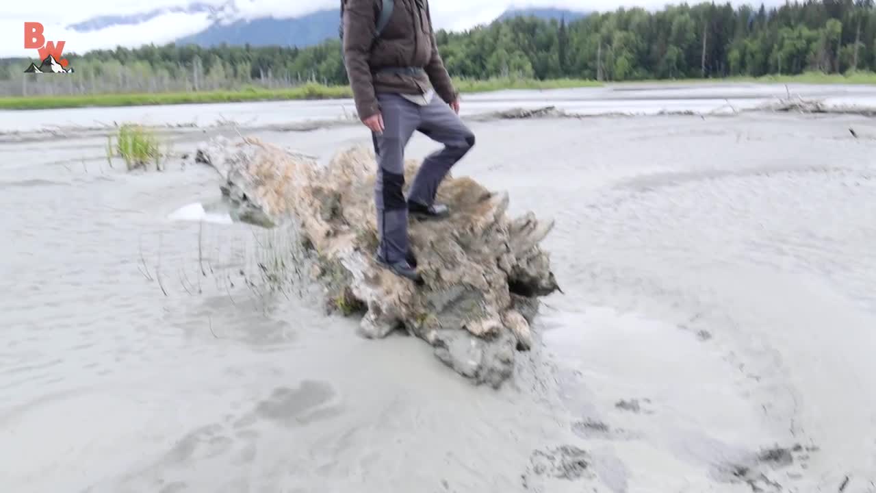 Bald Eagle Adventure