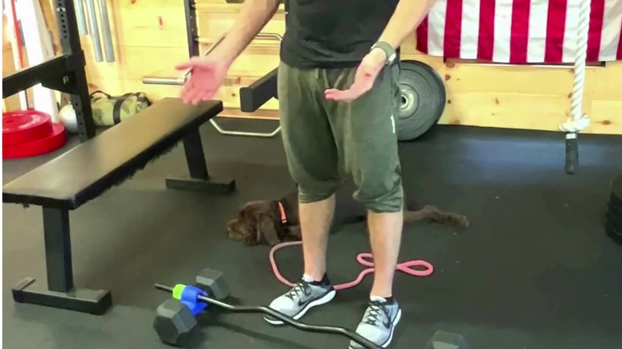 Using Dumbbells To Do A Barbell Curl- Dualbell Dumbbell to Bar Adapters