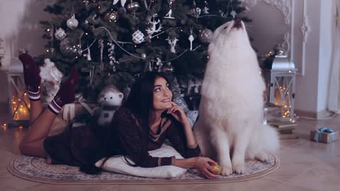 The Husky Talks to Santa! Christmas Morning