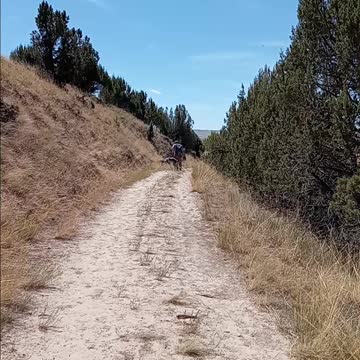 Cress Creek Idaho Hike Hiking