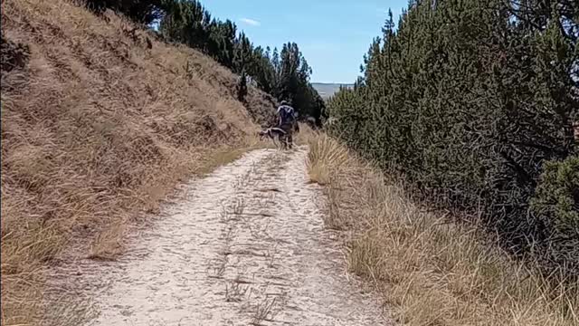 Cress Creek Idaho Hike Hiking