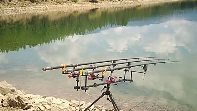 Real fishermen