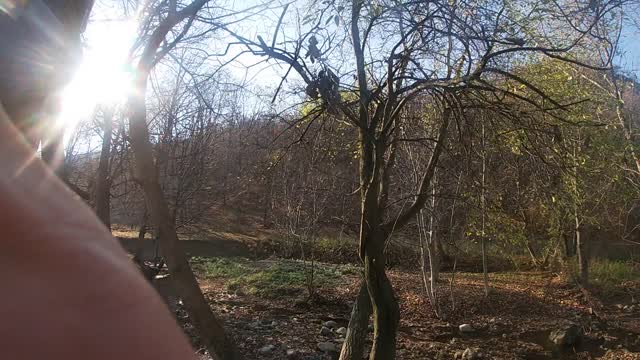 Spiritual Surrounding Vibe Monastery Vratna