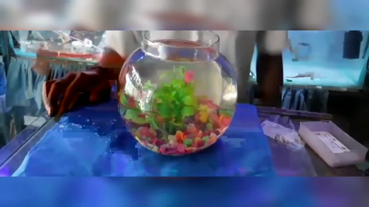 Gold Fishes Breathing Step by step/