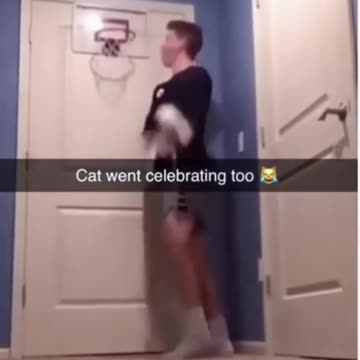 Best of internet cats 😺