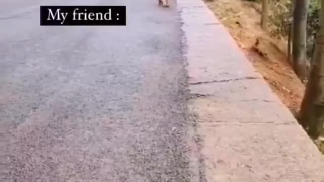 Comedy video just for fun