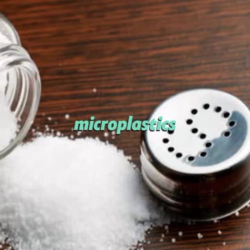 Plastic In our Salt