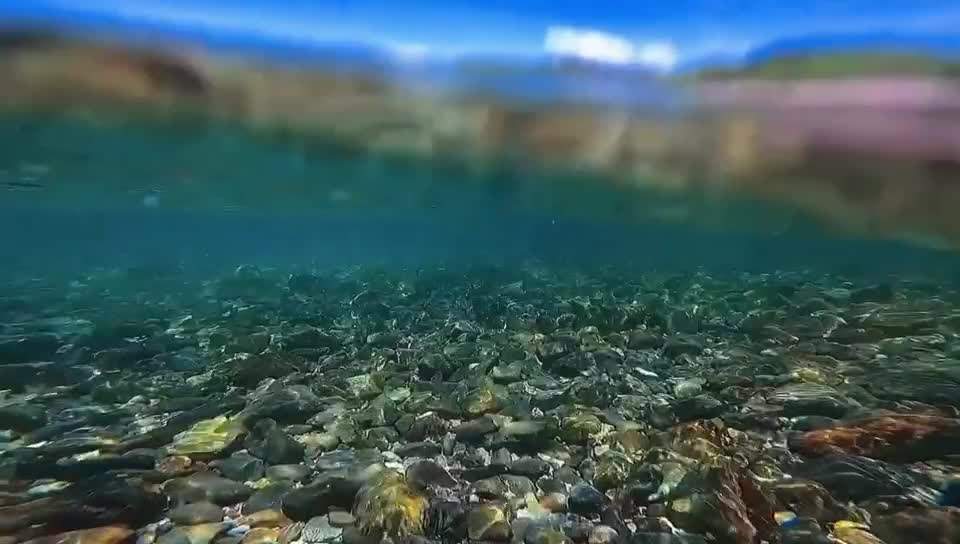 The surface of the water