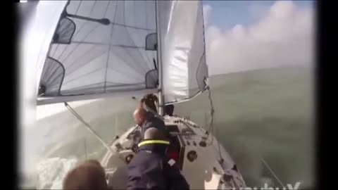 Compilation of Funny Videos with Animals and Sailors