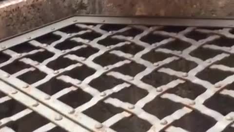 Girl Amazingly Sings Hallelujah Into A Well In Italy