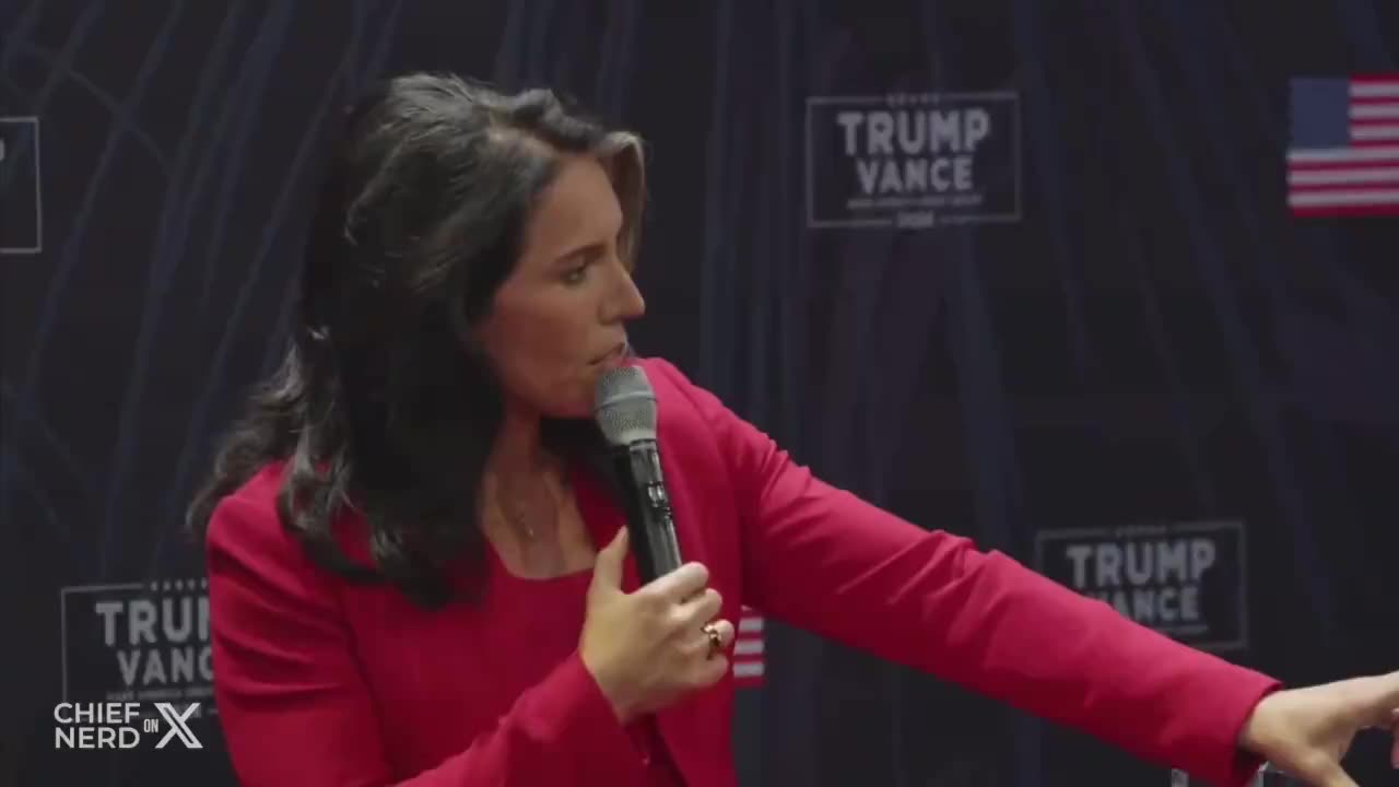 Tulsi Gabbard Explains in 5 Minutes THE TRUTH