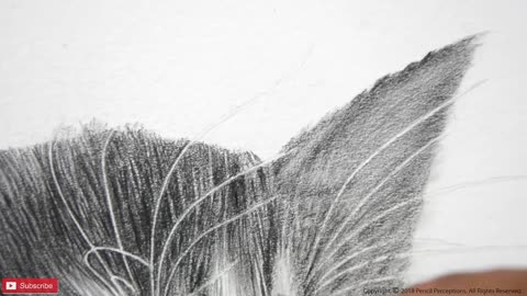 Drawing a cat
