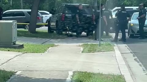 Heavy police presence at Palm Elementary School in Austin