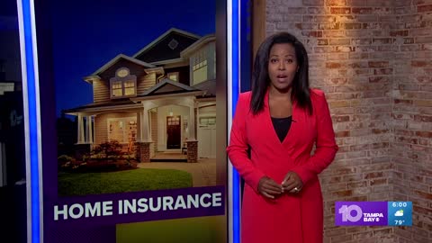 Florida's home insurance crisis: What you need to know