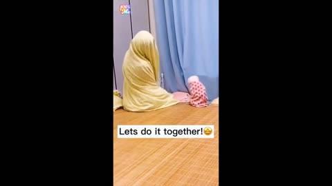 cute and funny animals