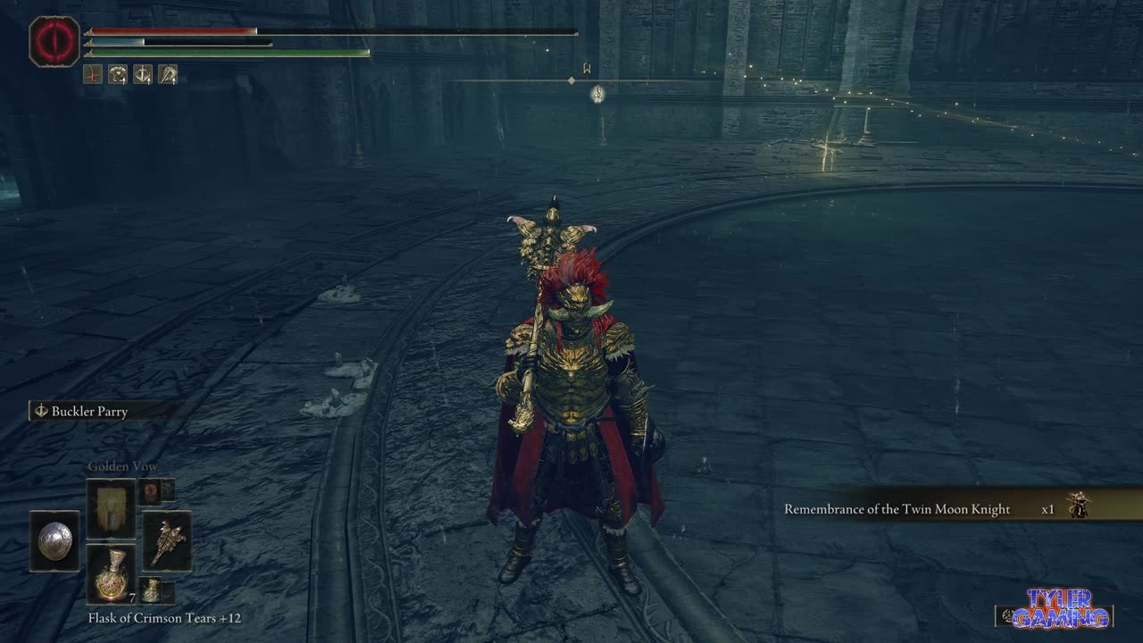 I don't have intention of killing Rellana the Twin knight, but unexpected happen