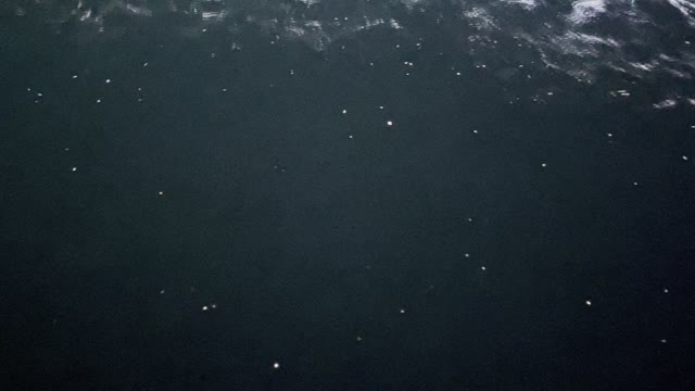 Waves and fireflies