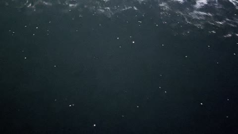 Waves and fireflies
