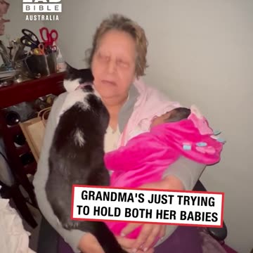 Cat demands all of Grandma's love