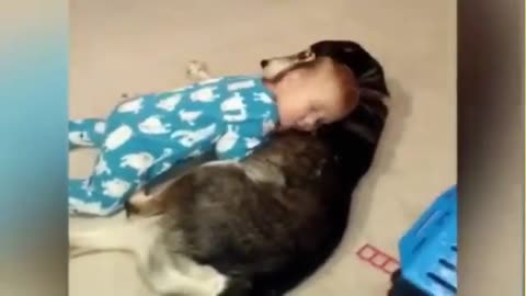 Kid sleep on a dog