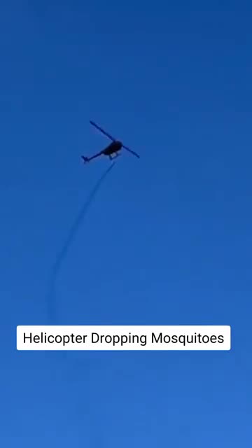 Mentre le città del Massachusetts si preparano al lockdown per i prossimi mesi...