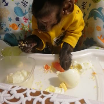 Как Мирон ел яйцо