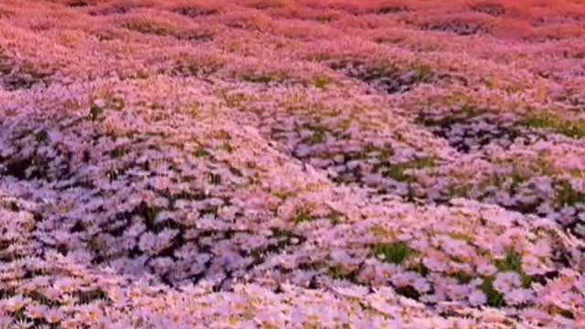 Stop your busy steps in the past and feel the tranquility of nature at this moment