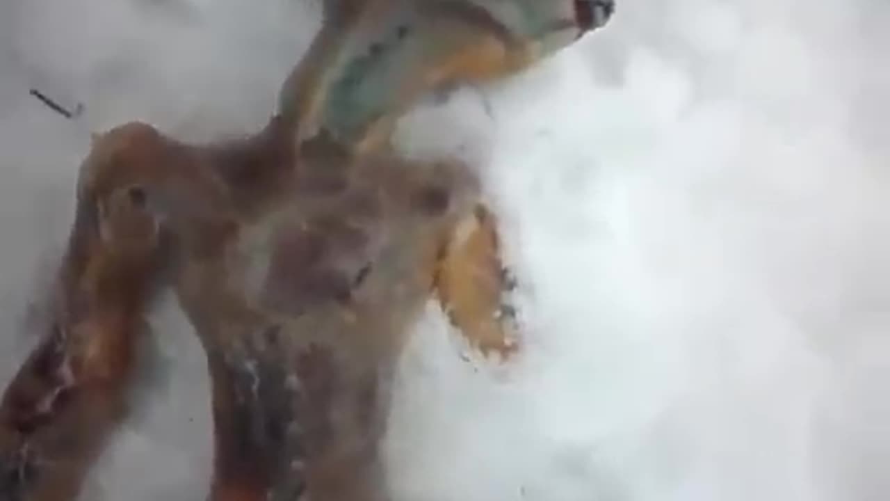 Alien Bodies - UFO Video of dead alien found in snow in Russia - UFO crash