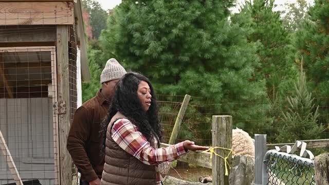 She was super happy while feeding foods to sheeps