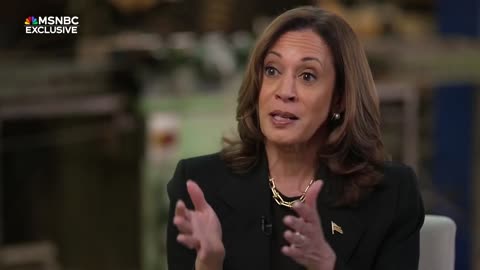 Kamala Harris’ first solo network interview as 2024 candidate I MSNBC Exclusive