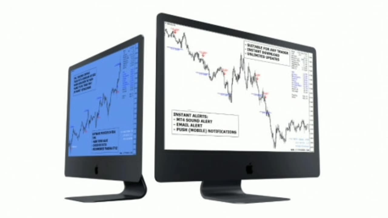 Forex C 15 Trader Strategy Digital - Software