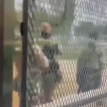 Well would ya look at that patch - 10th Mountain Division