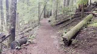 Crossing a Rustic Bridge – Clear Lake Loop – Willamette National Forest – Central Oregon – 4K