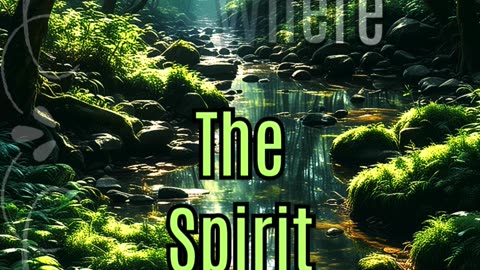 True Freedom in the Spirit of Christ