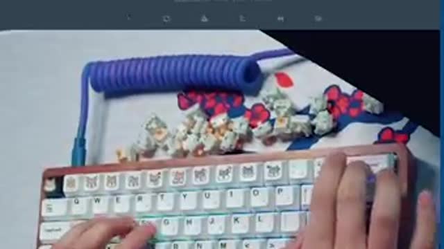 Typing experts has unbelievable skills