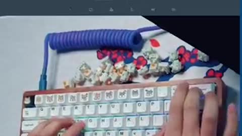 Typing experts has unbelievable skills