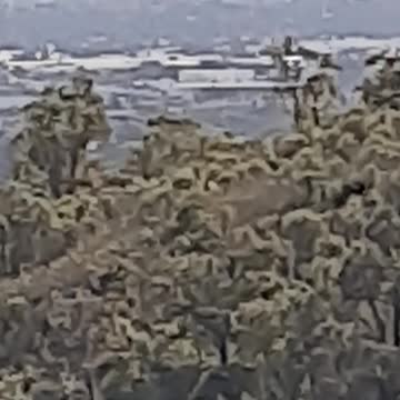 Lesmurdie Falls with pan to Perth city