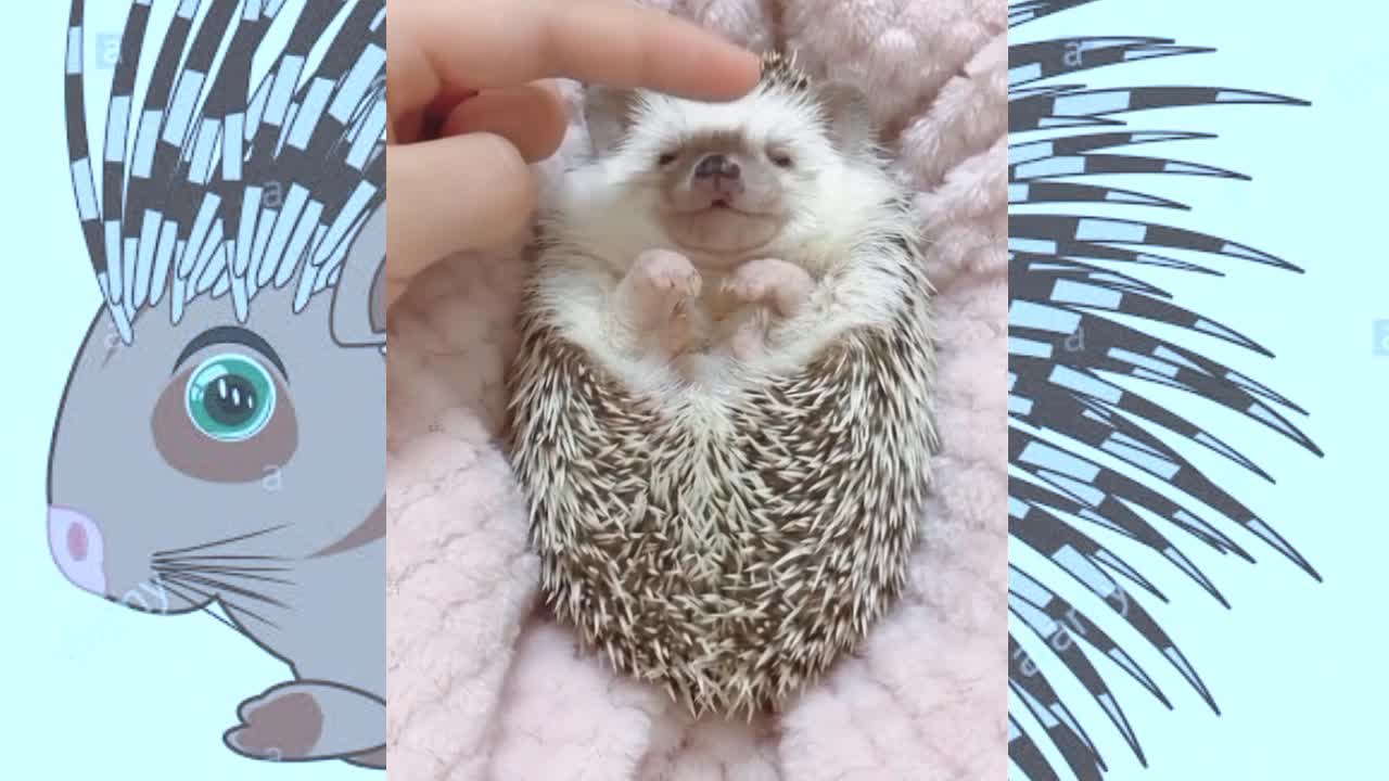 When cuddle is life