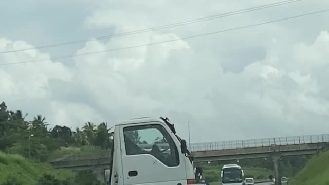 Funny vehicle on the highway