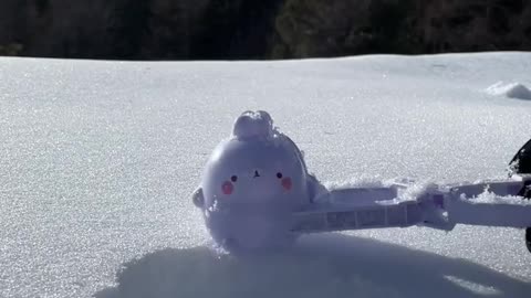 Most Perfect Snowball In The World